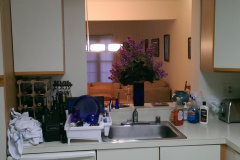 Before Kitchen Remodeling